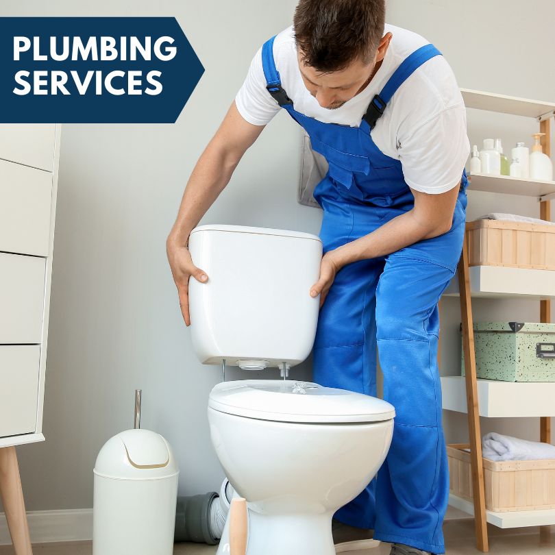 Plumbing Company in Johnston City, IL